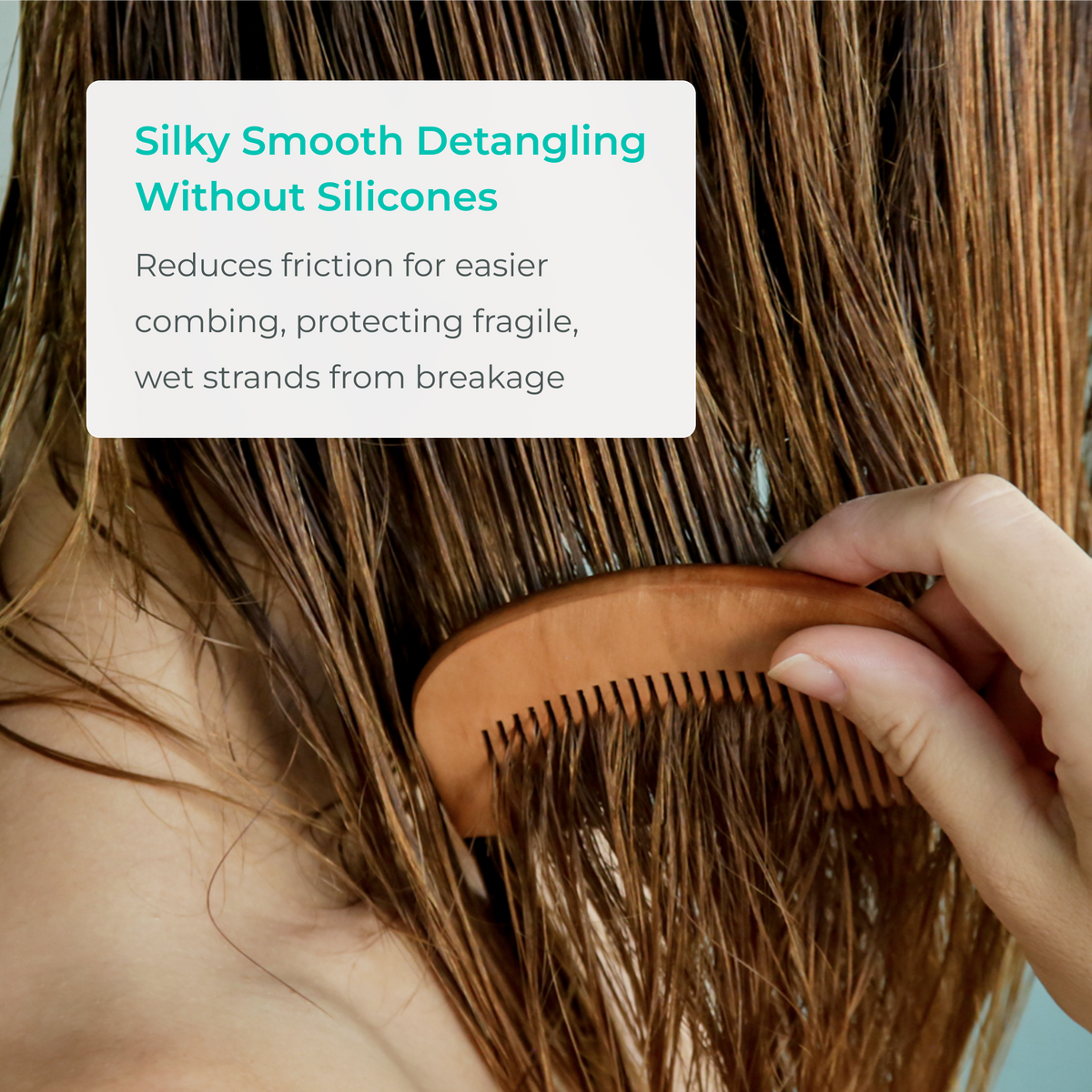 Growth Support Conditioner
