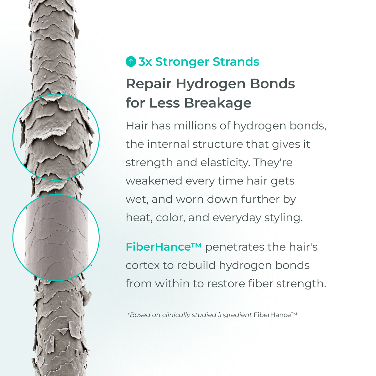 Growth Support Conditioner