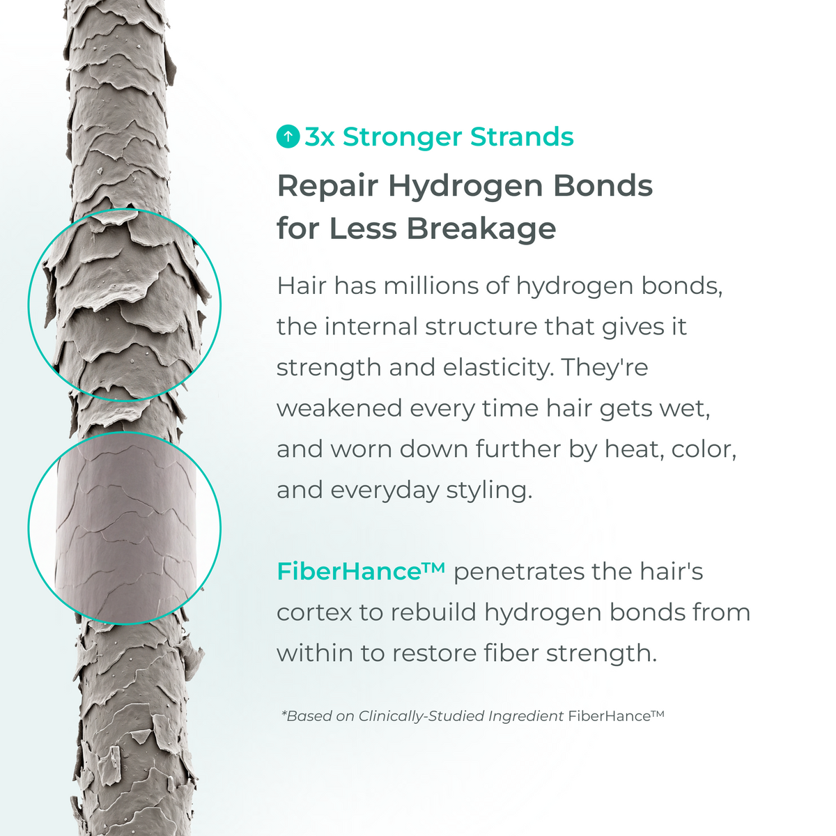 Growth Support Conditioner