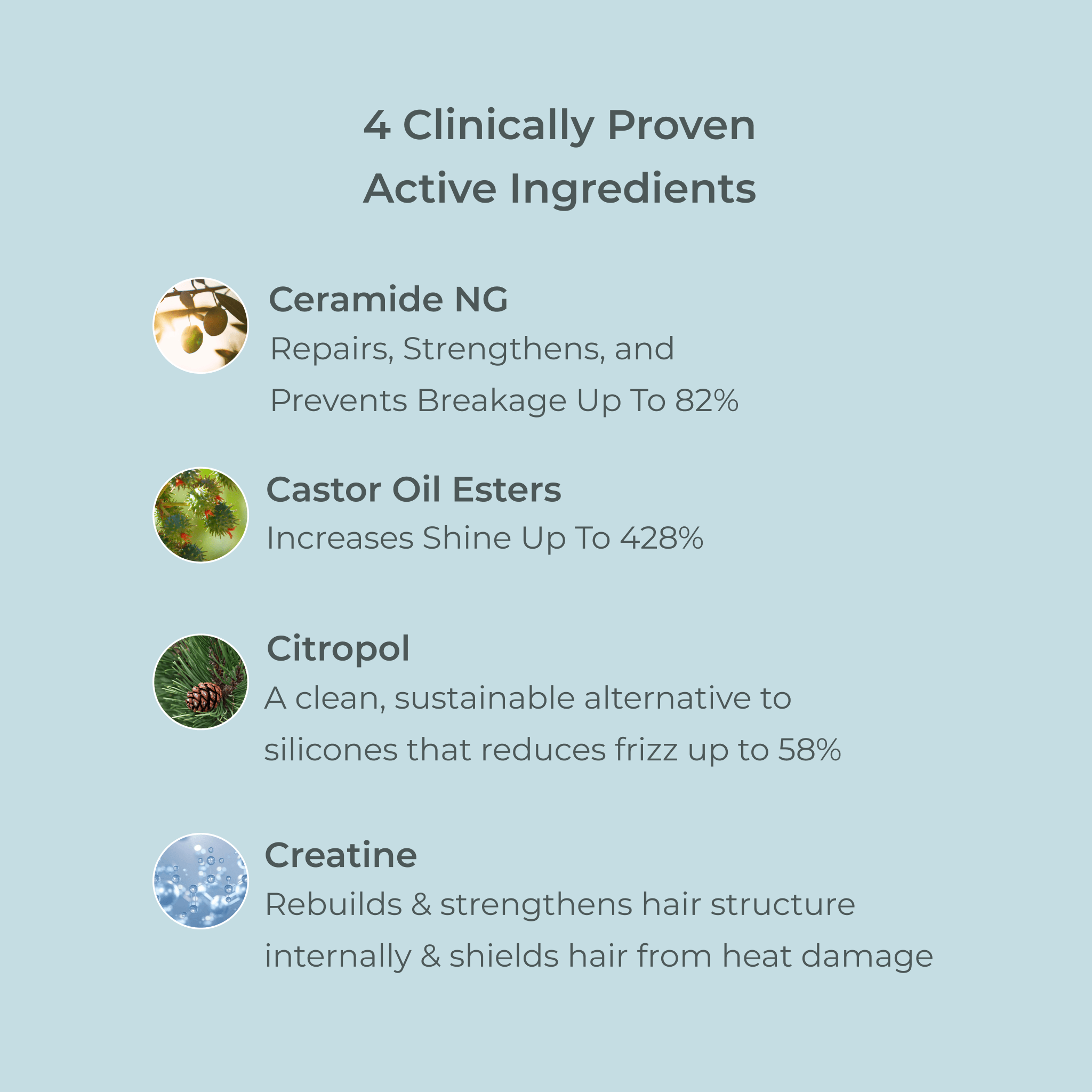 EVOLVh Better Roots Growth Support Shampoo and Conditioner Duo