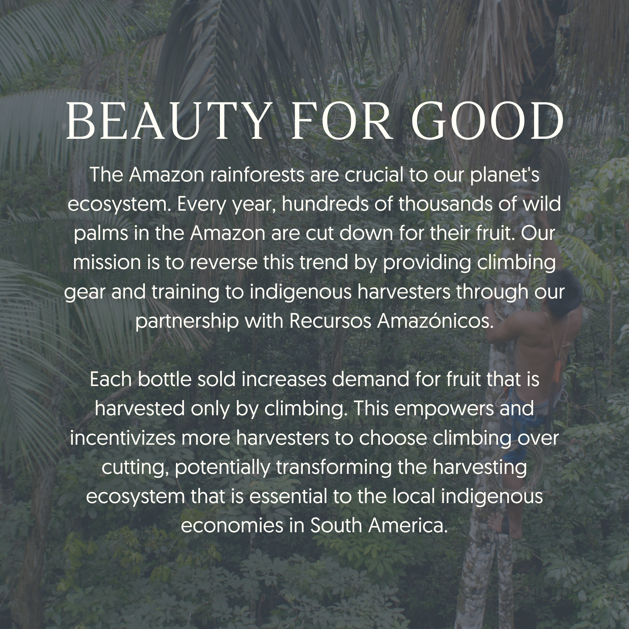EVOLVh RUVI Age-Defying Glow Serum