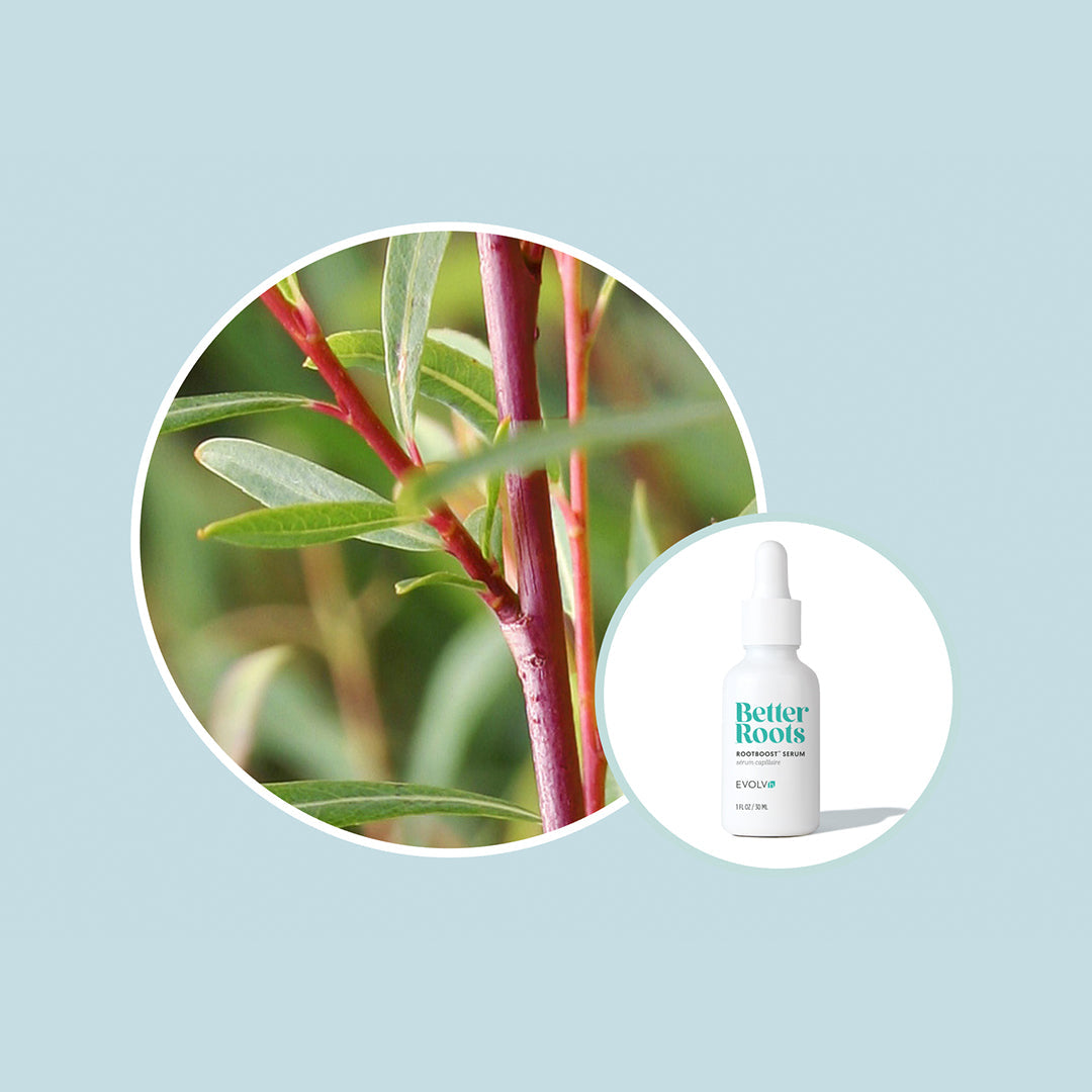 Your Best Defense Against Dandruff: Better Roots RootBoost Serum