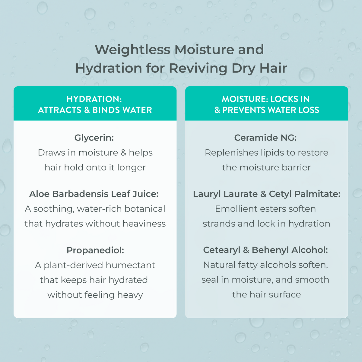 Growth Support Conditioner