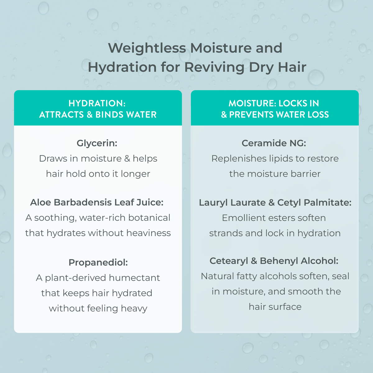 Growth Support Conditioner