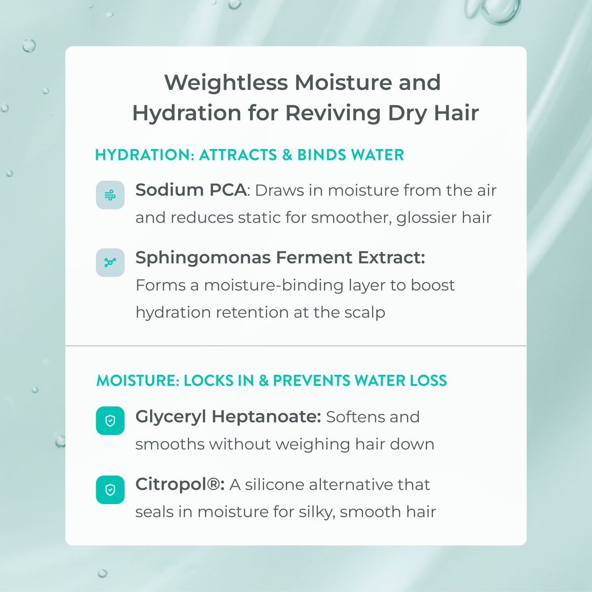 Growth Support Shampoo