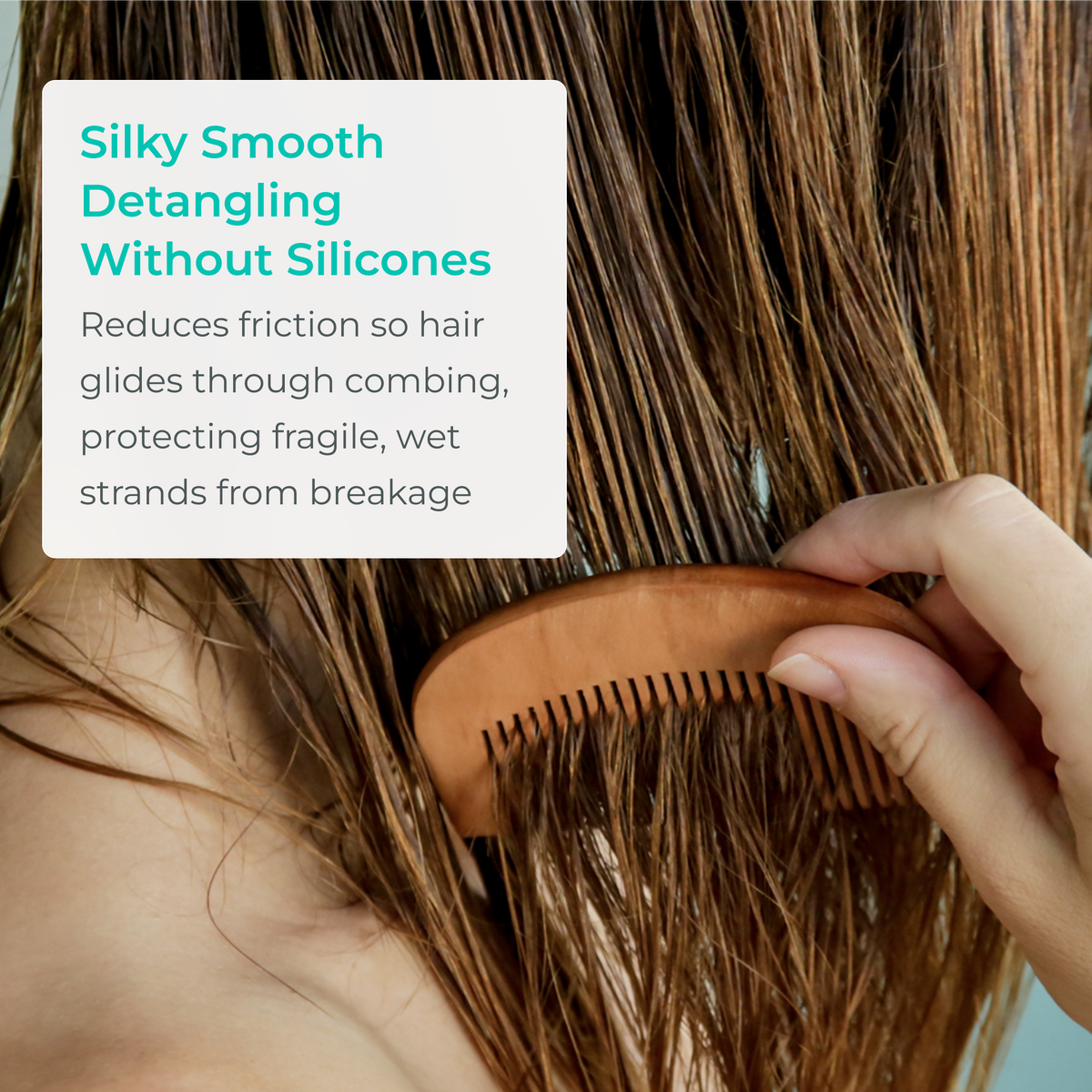 Growth Support Conditioner