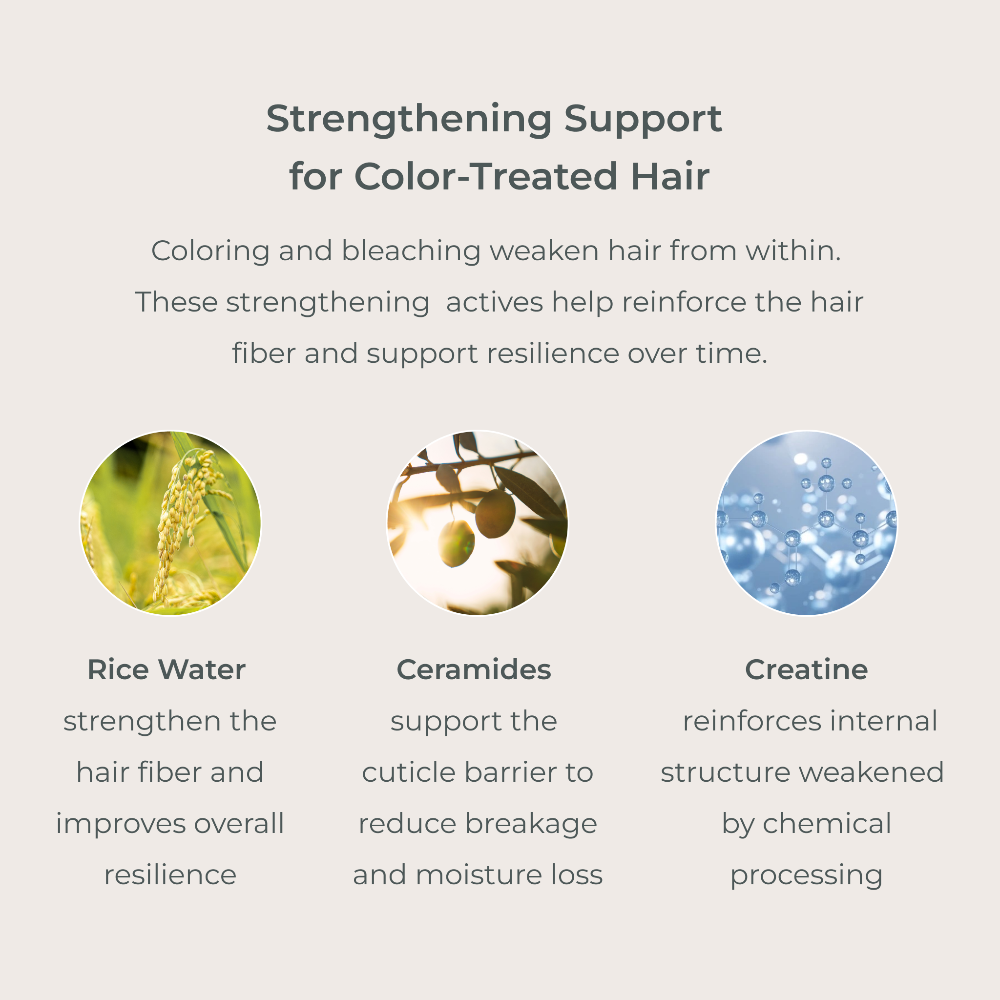SmartColor Shampoo & Conditioner Duo