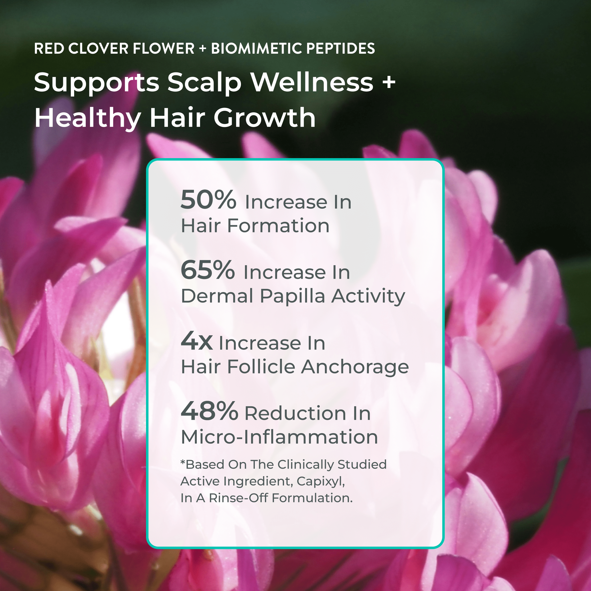 EVOLVh  Better Roots Growth Support Shampoo and Conditioner Duo